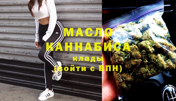 шишки Аша