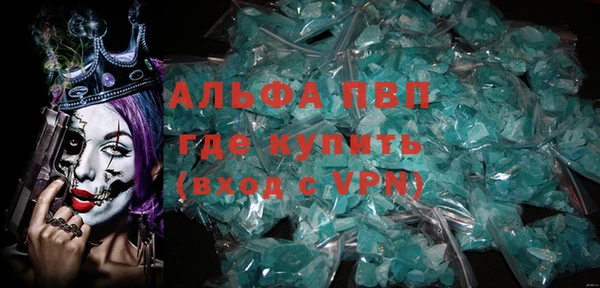 шишки Аша