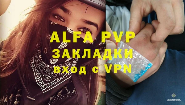 тгк Апатиты