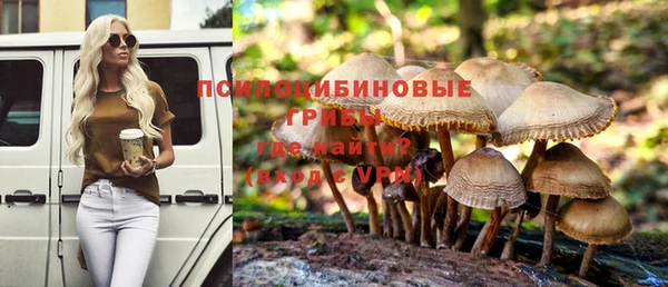 тгк Апатиты